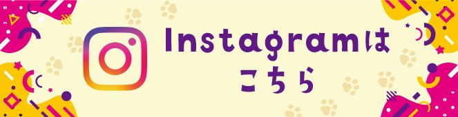 Instagramはこちら