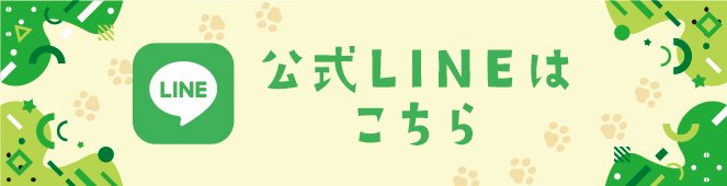 公式LINEはこちら